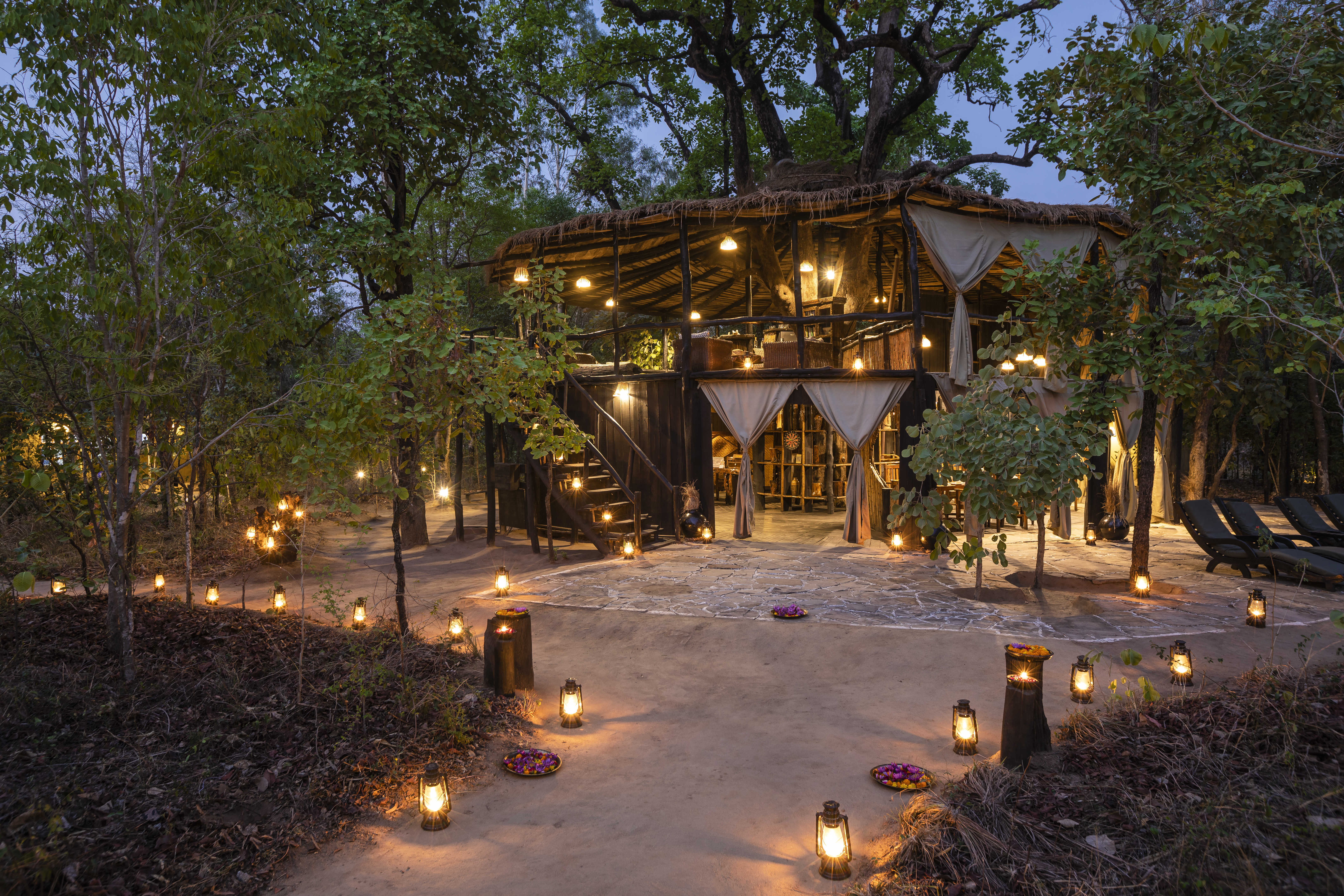 Tree House Hideaway