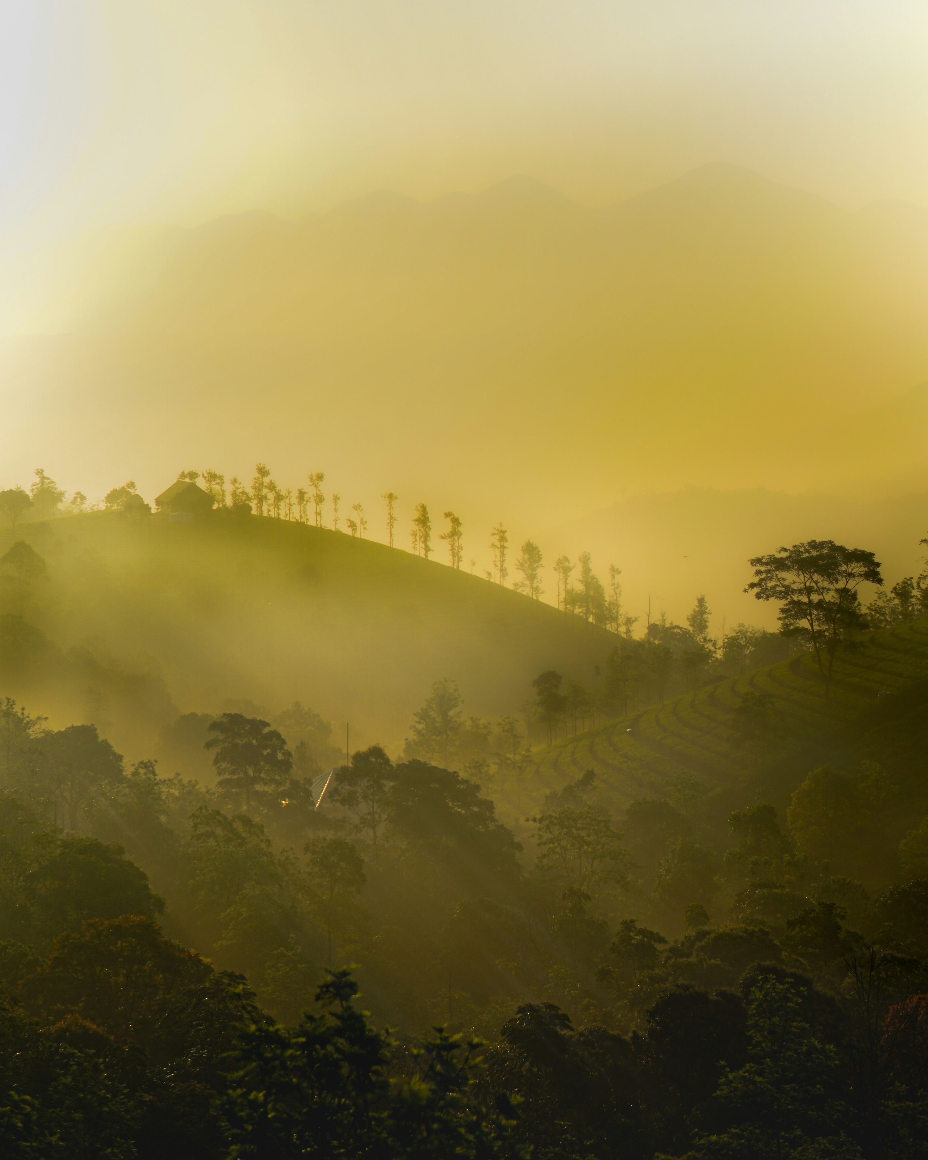 Vagamon — photo 2
