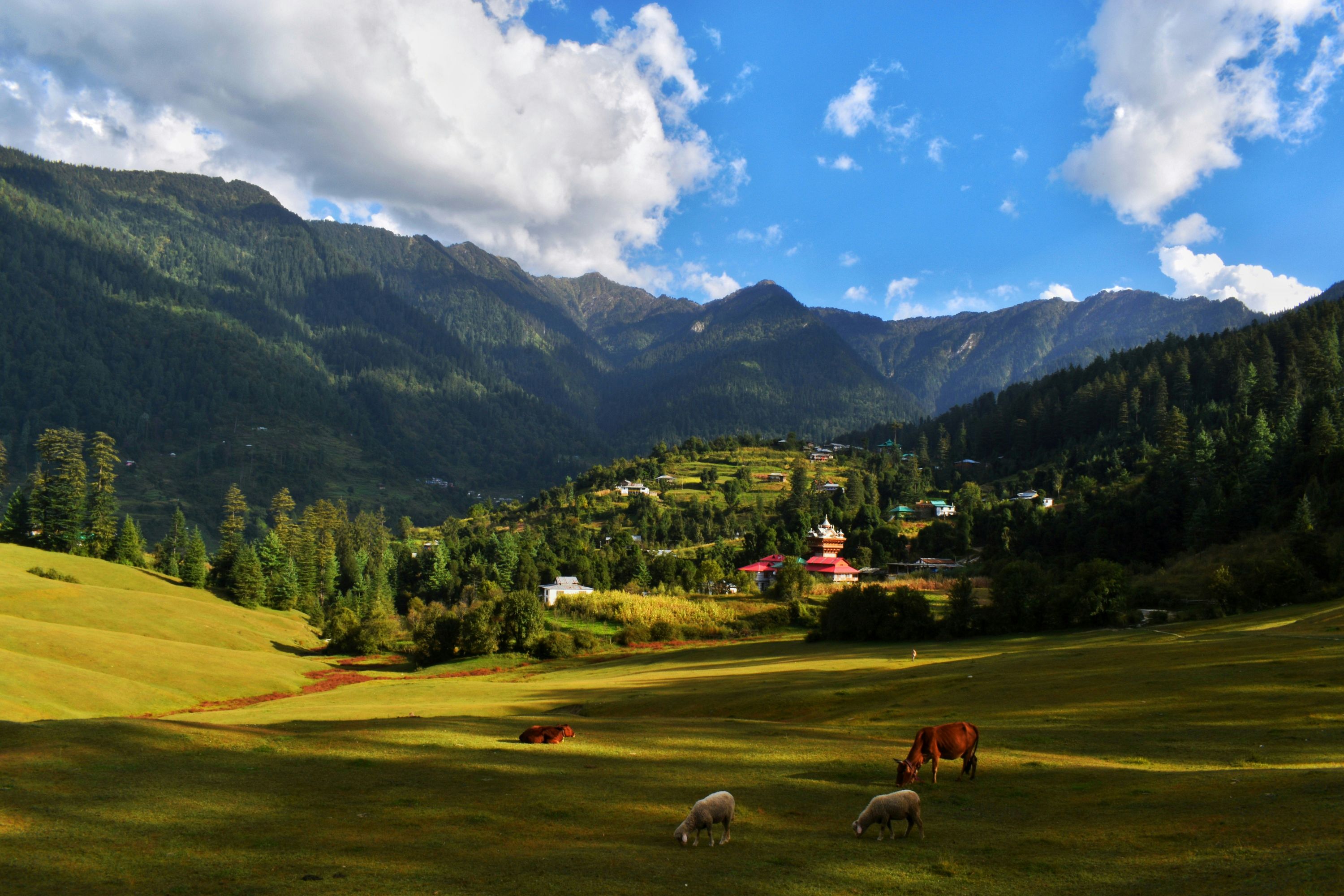 Shangarh, offbeat Himachal Pradesh — landscape view