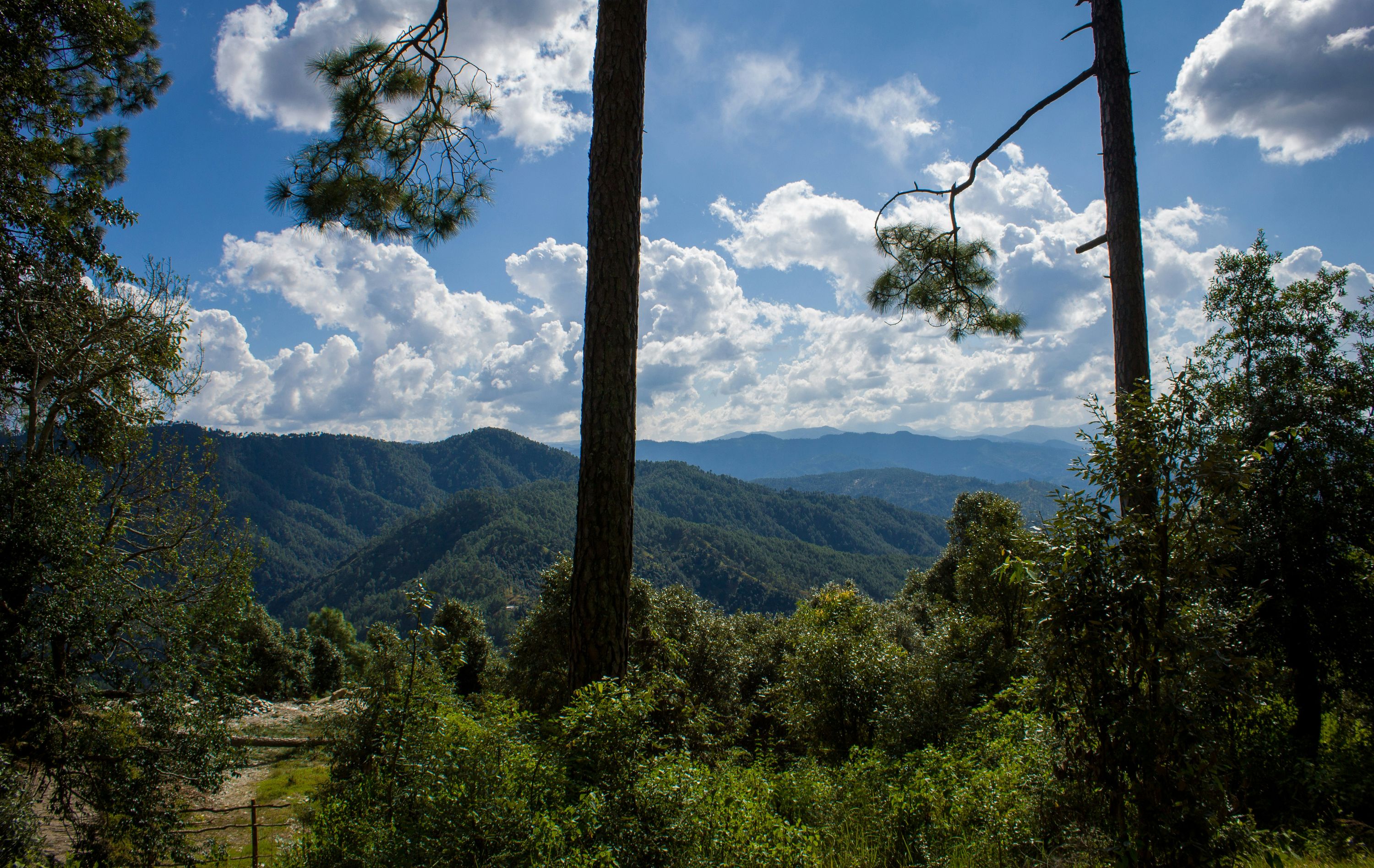 Binsar — photo 3