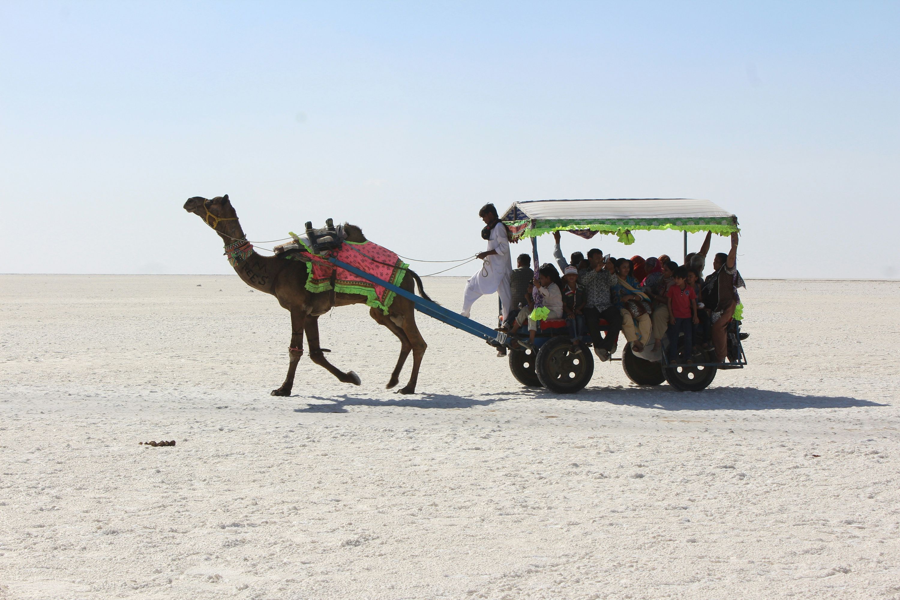 Rann of Kutch — photo 2