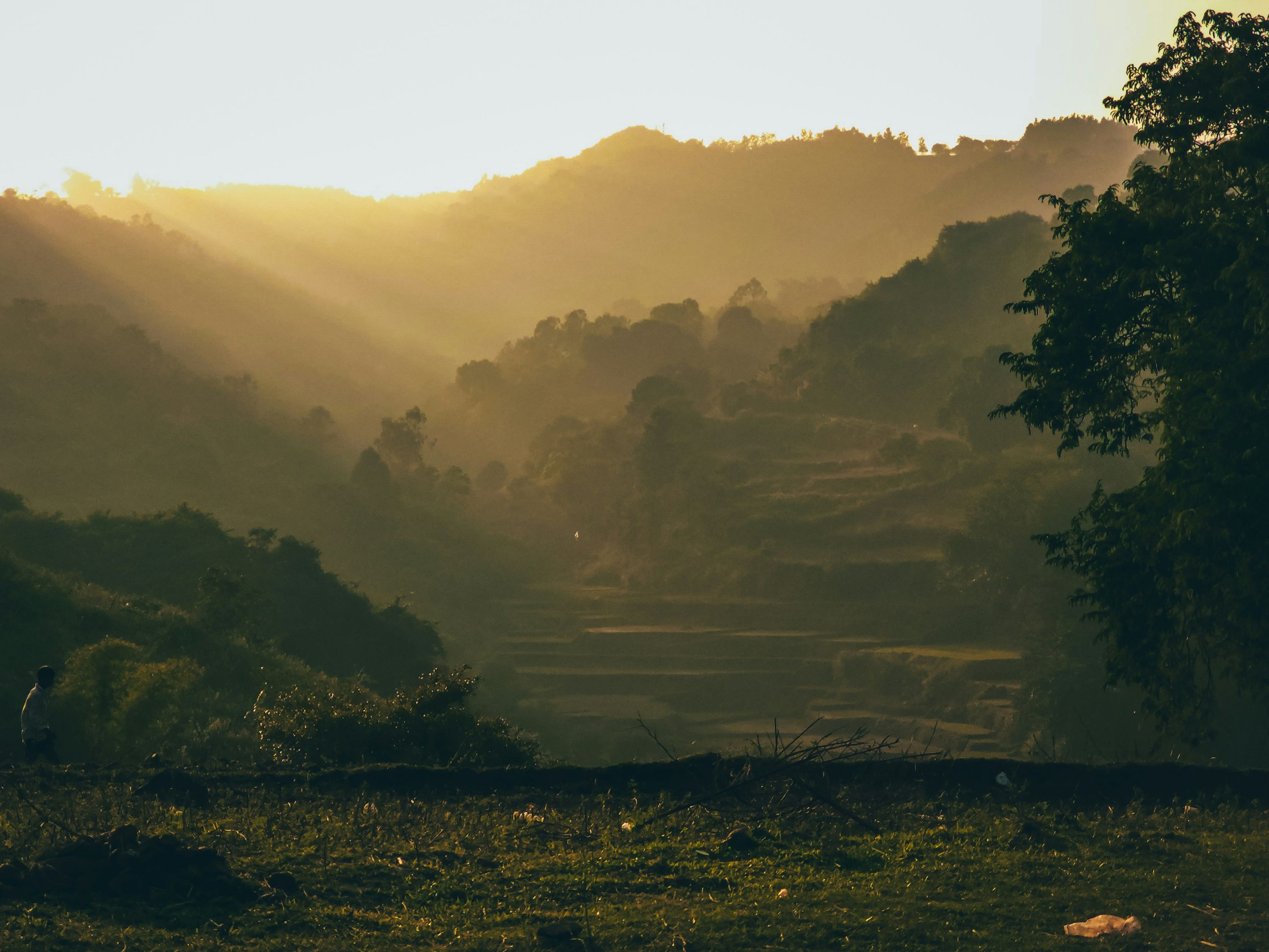 Araku Valley — photo 3