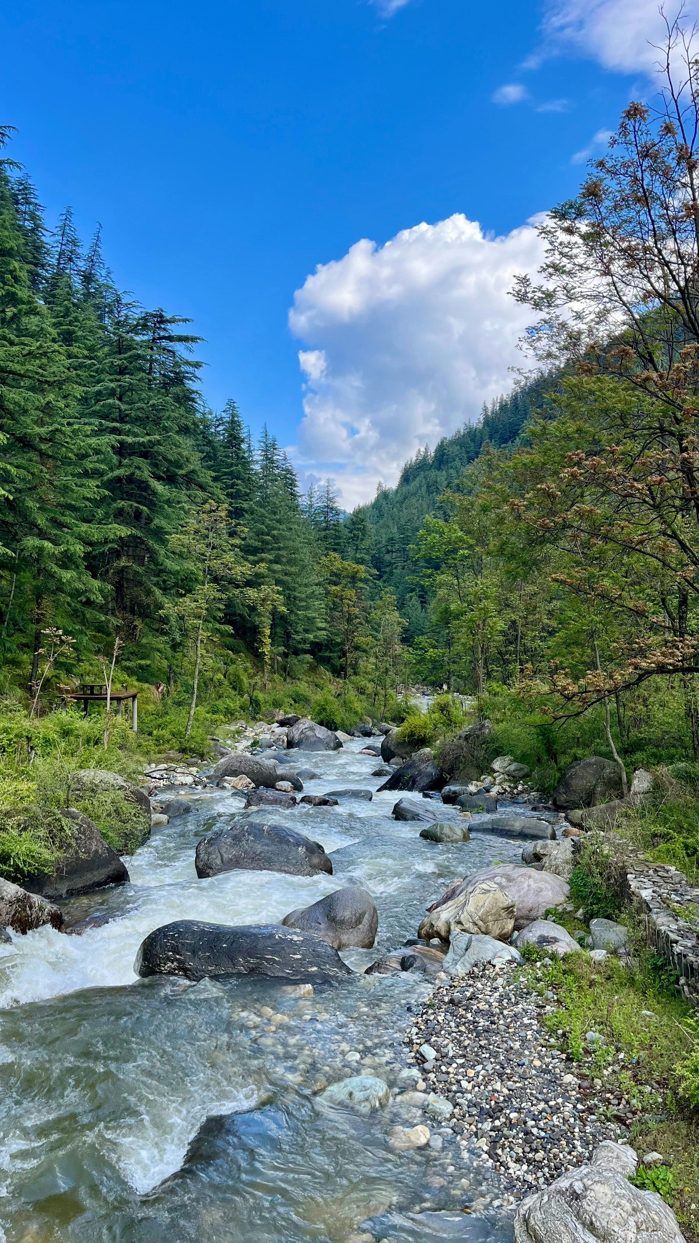 Jibhi — photo 3