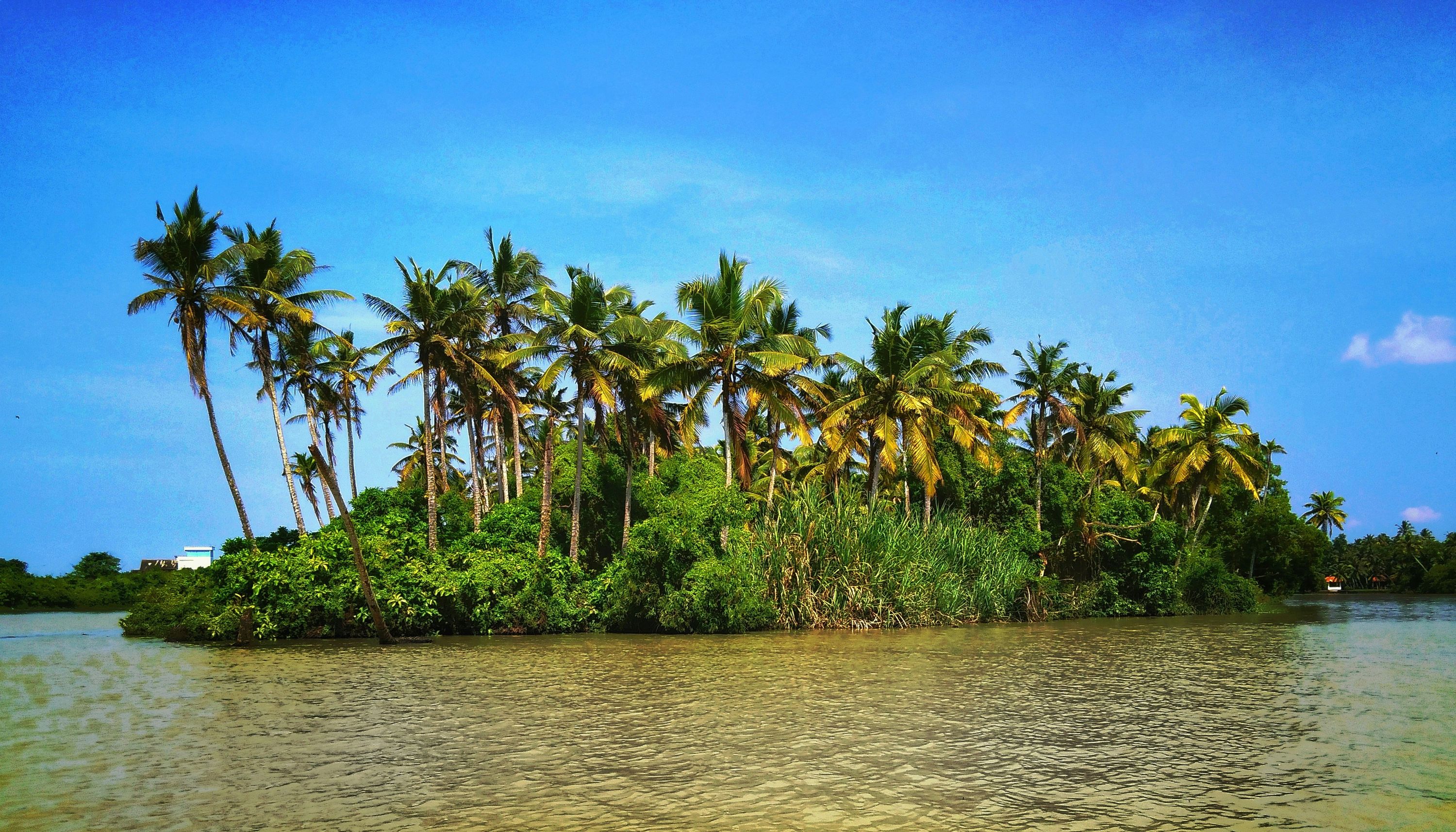 Poovar, offbeat Kerala — landscape view