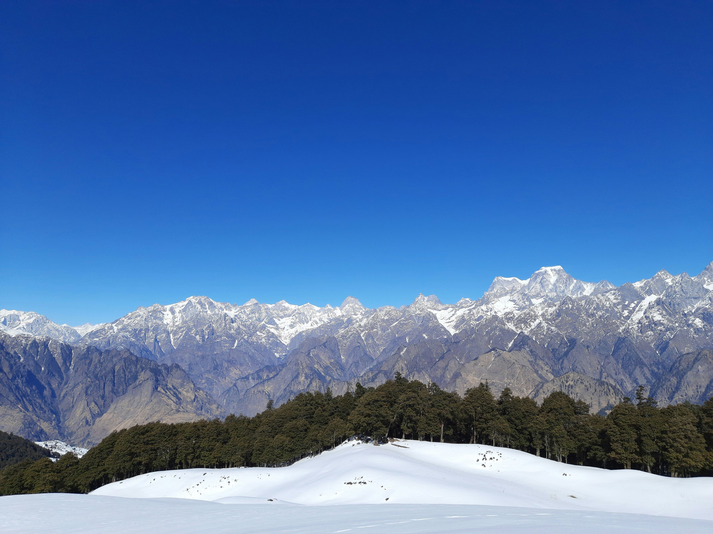Auli — photo 3