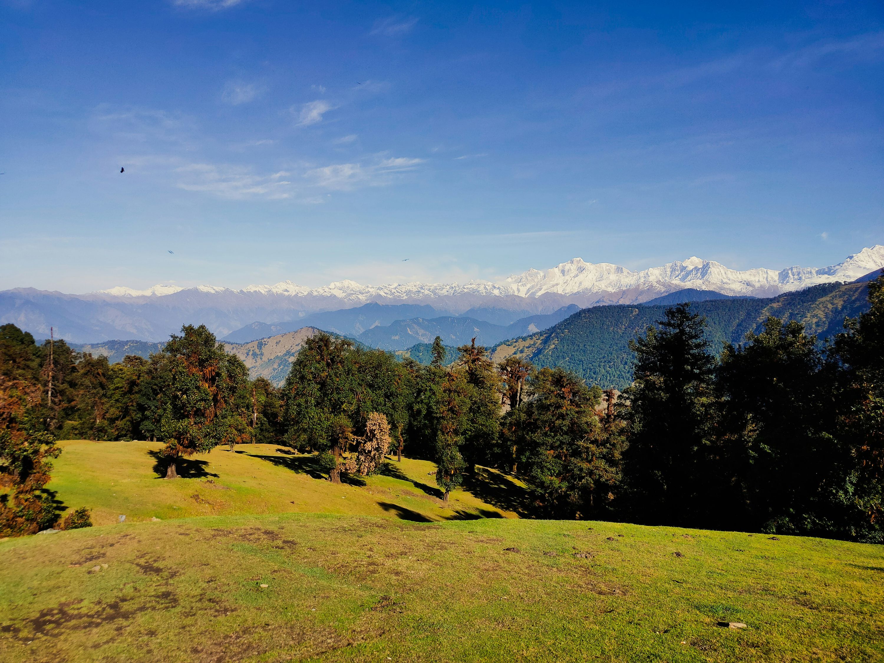 Chopta — photo 3