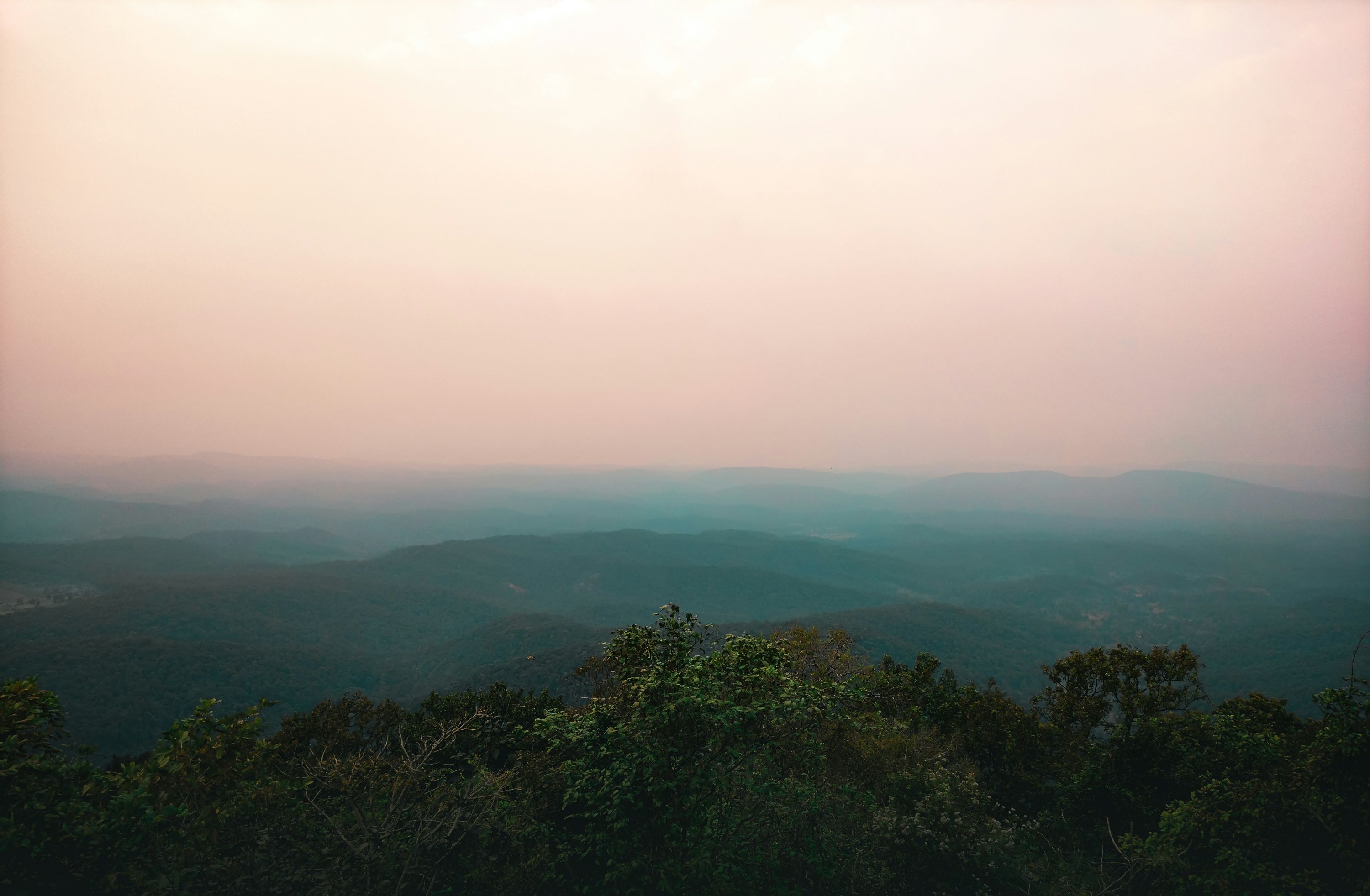 Similipal National Park — photo 2