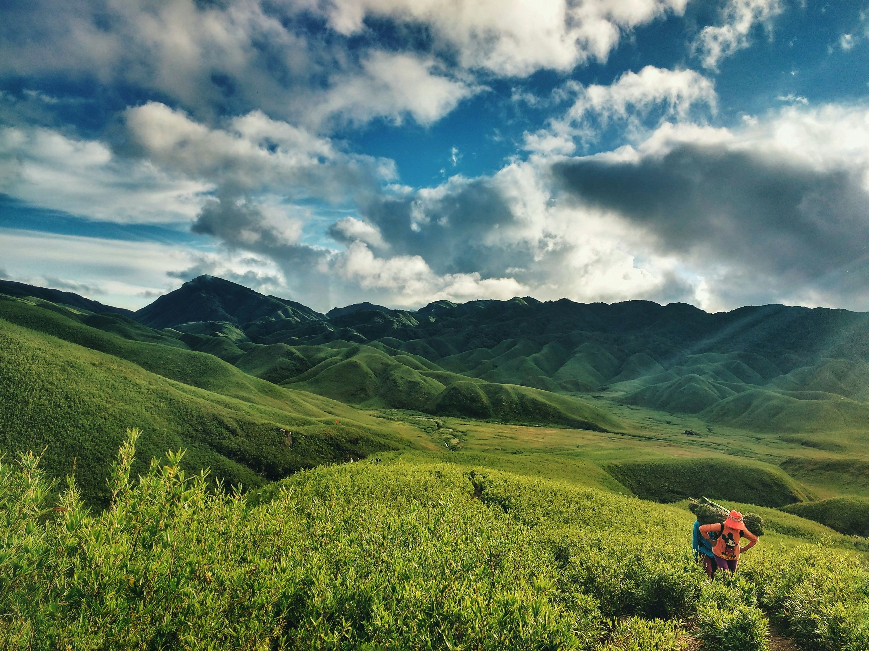 Dzükou Valley, offbeat Nagaland — landscape view