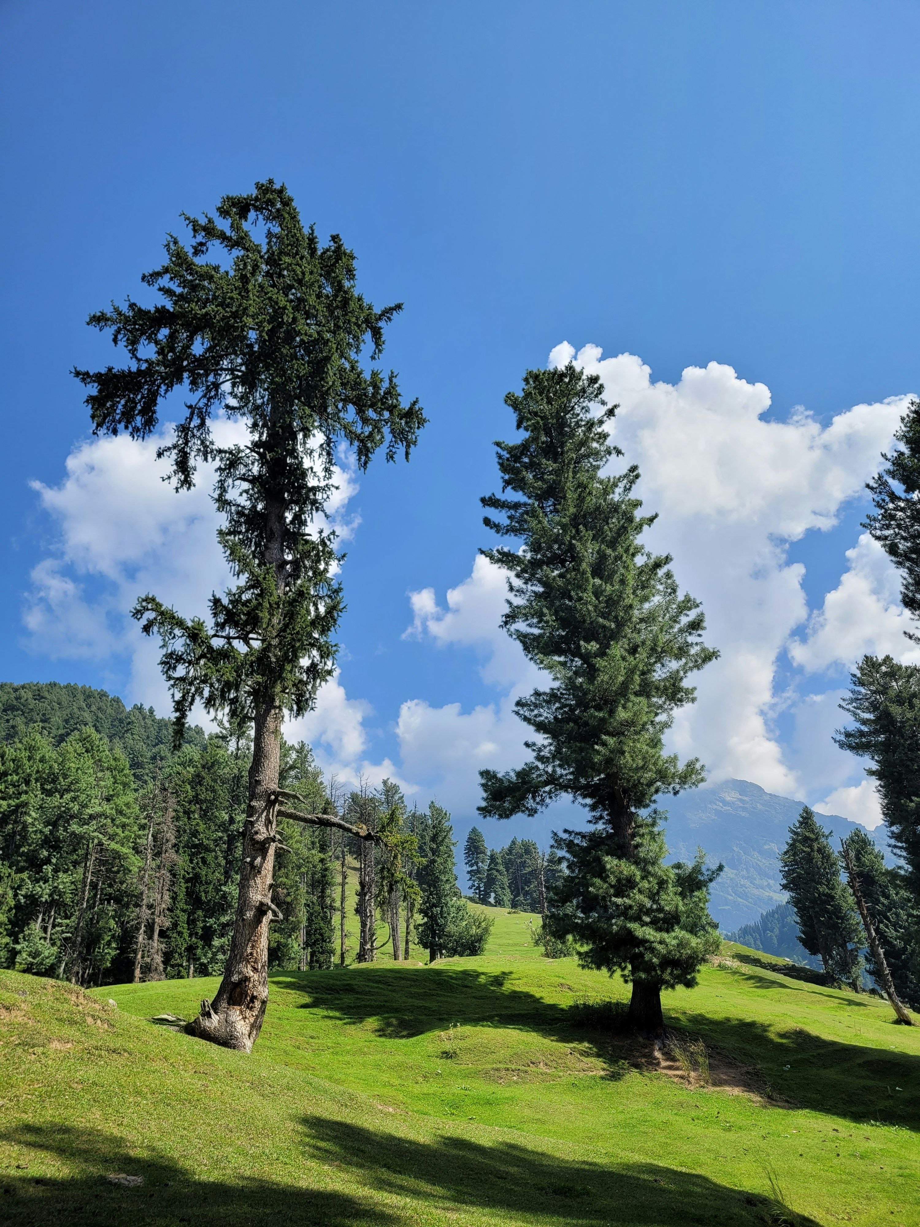 Aru Valley — photo 3