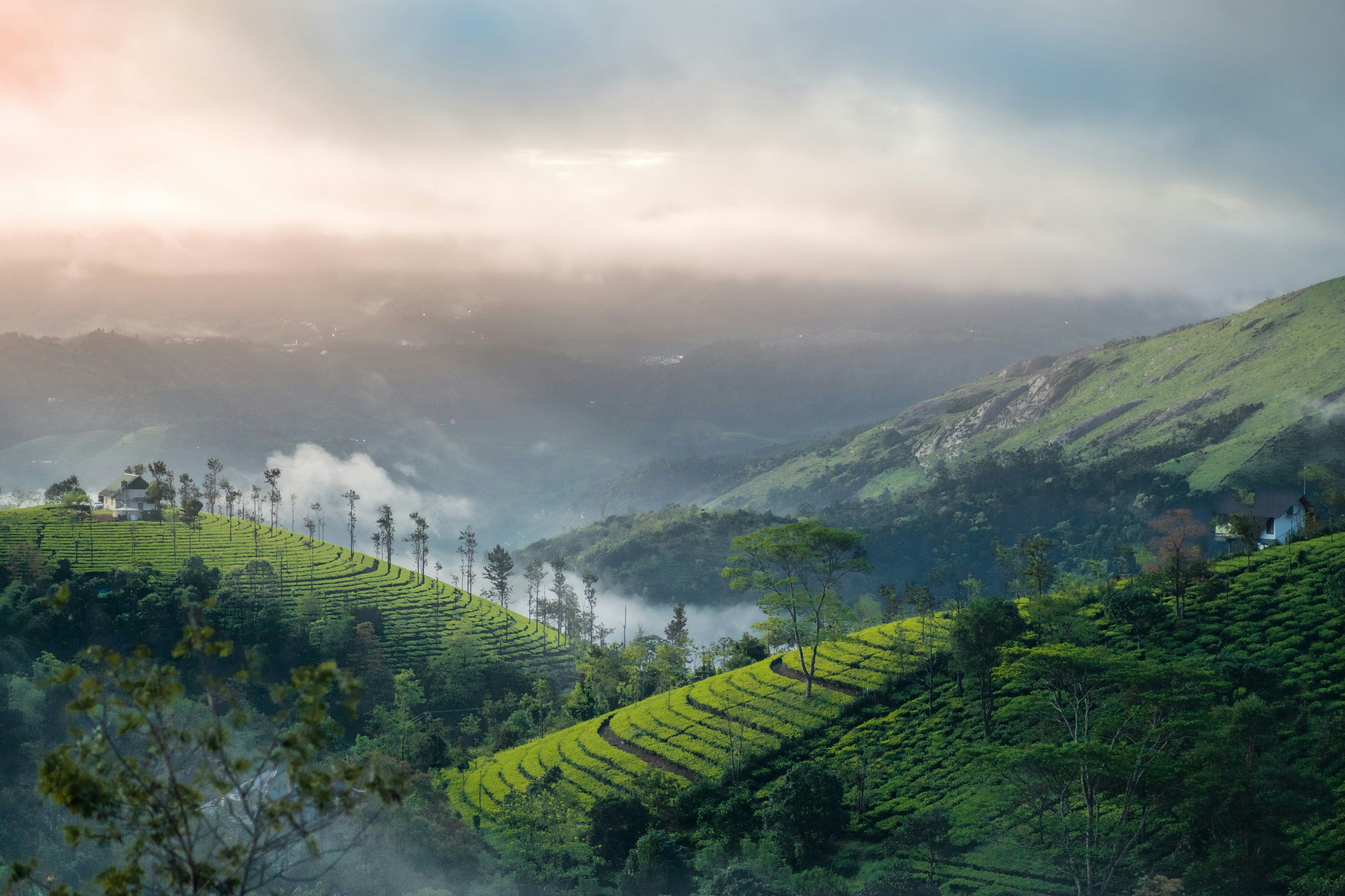 Vagamon, offbeat Kerala — landscape view