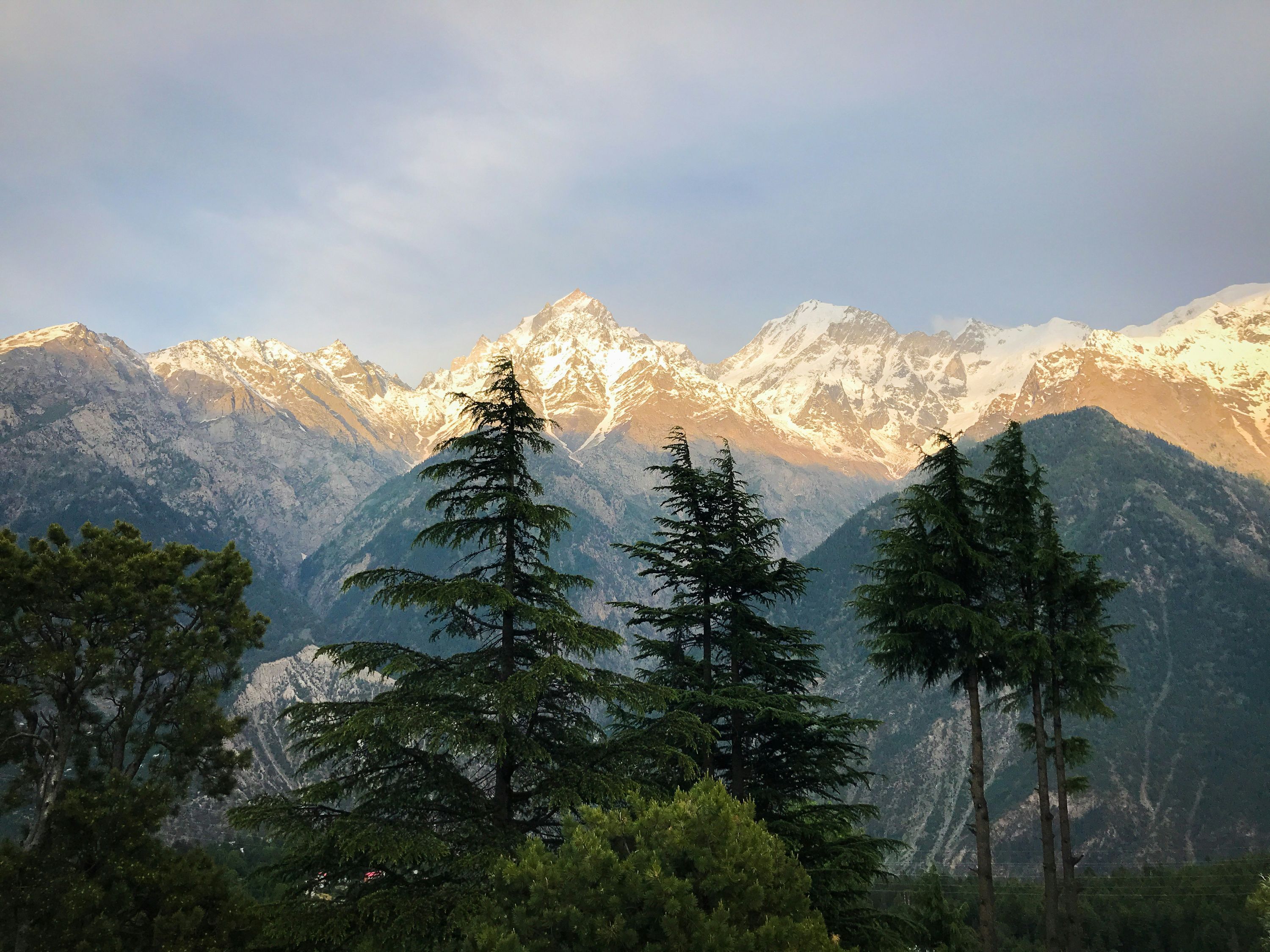 Kalpa — photo 2