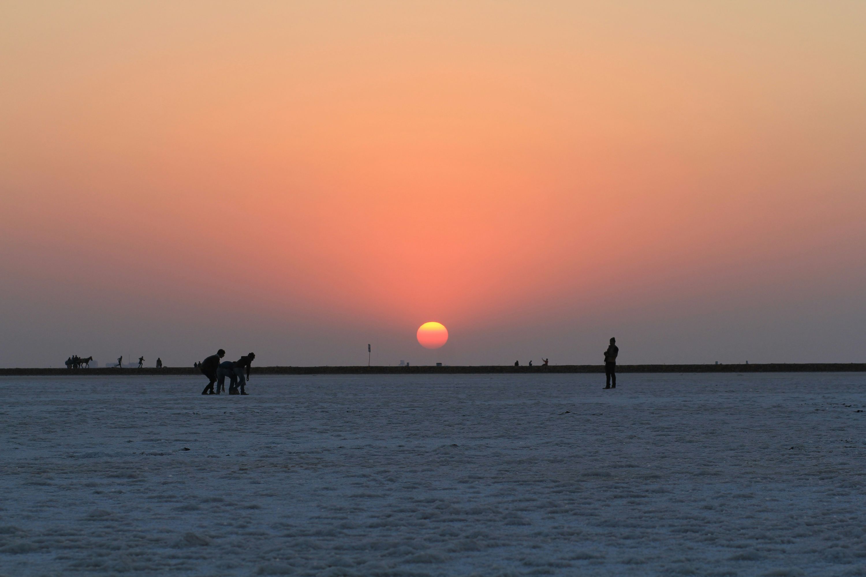 Rann of Kutch, offbeat Gujarat — landscape view