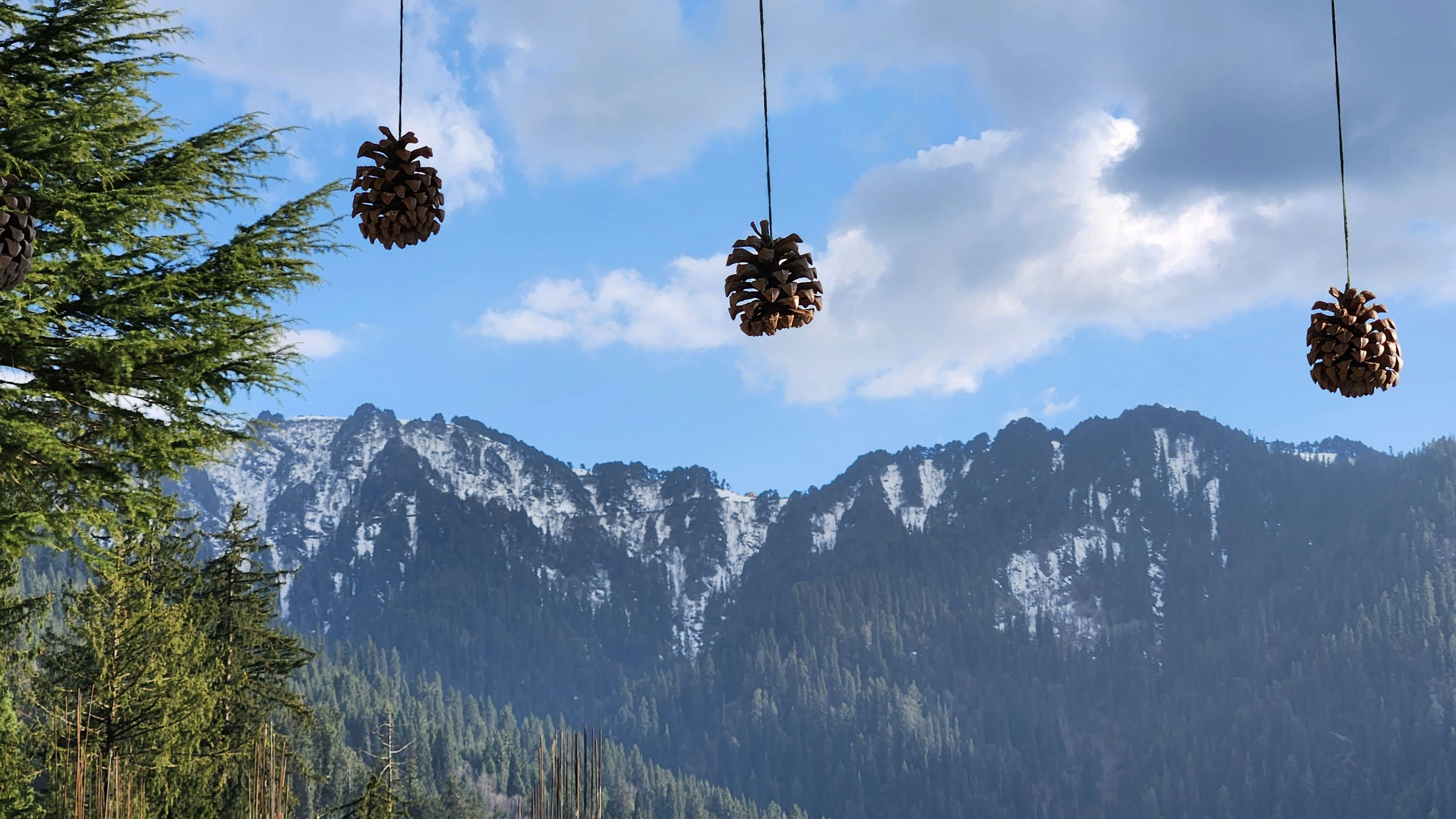 Jibhi, offbeat Himachal Pradesh — landscape view