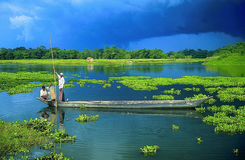 Majuli — photo 3