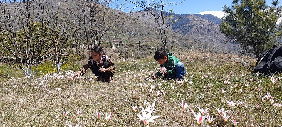 Churah Valley — photo 3