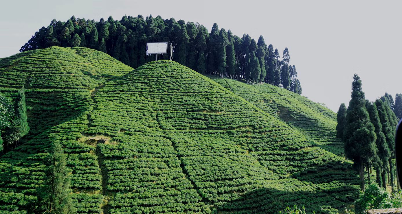 Darjeeling — photo 2