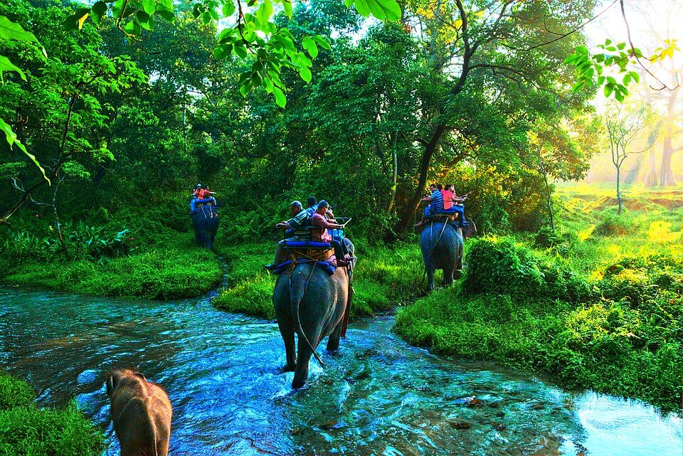 Jaldapara and Gorumara, offbeat West Bengal — landscape view