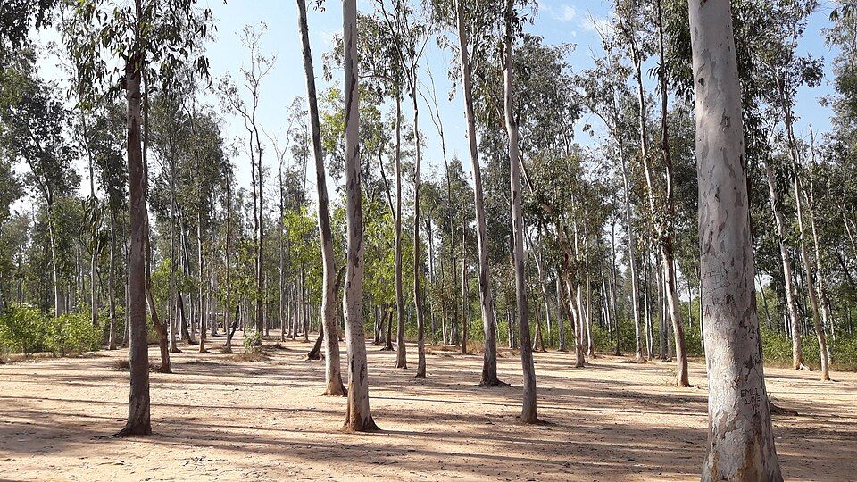 Shantiniketan — photo 2