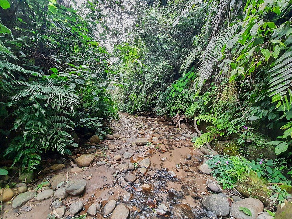 Namdapha National Park, offbeat Arunachal Pradesh — landscape view