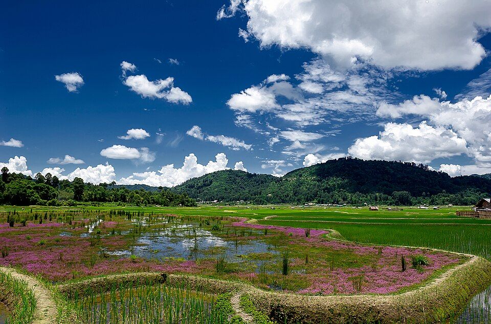 Ziro Valley, offbeat Arunachal Pradesh — landscape view