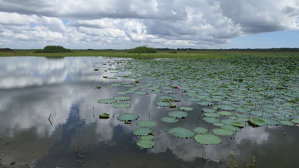 Ousteri Lake — photo 3