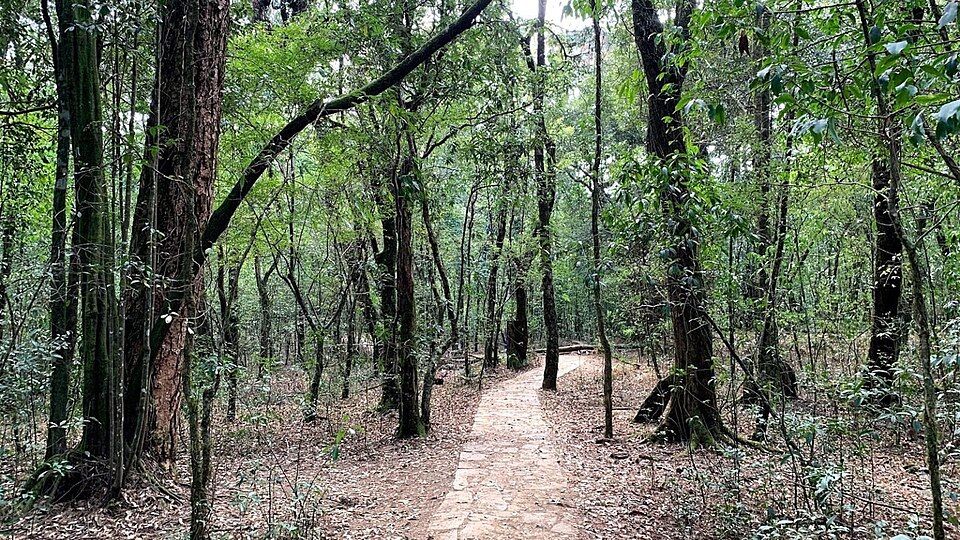 Mawphlang — photo 2