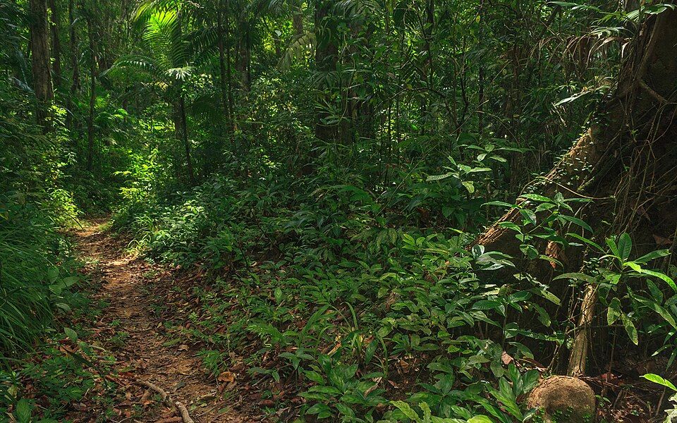 Mount Harriet, offbeat Andaman & Nicobar Islands — landscape view