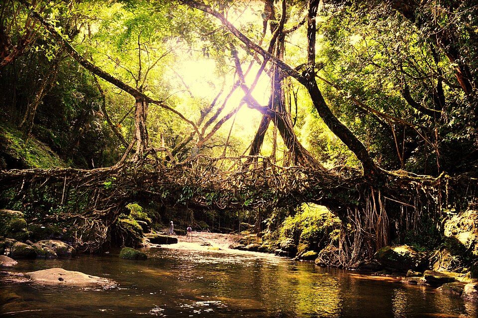 Cherrapunji — photo 3
