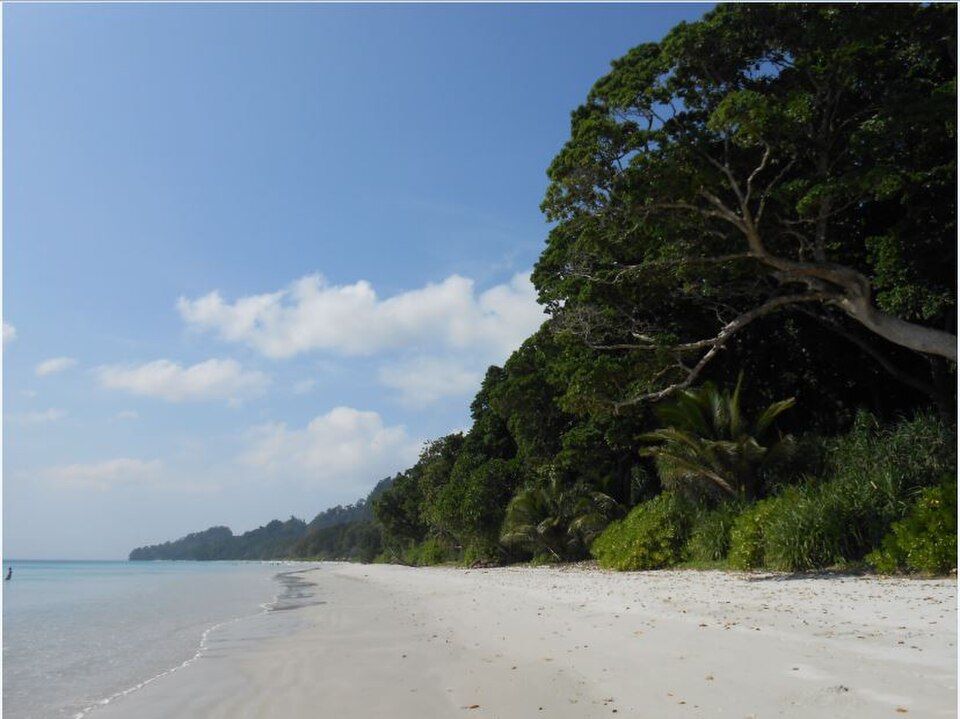 Radhanagar Beach — photo 2