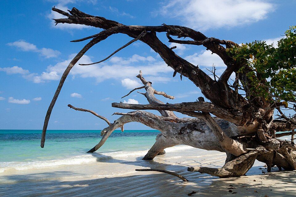 Havelock Island, offbeat Andaman & Nicobar Islands — landscape view