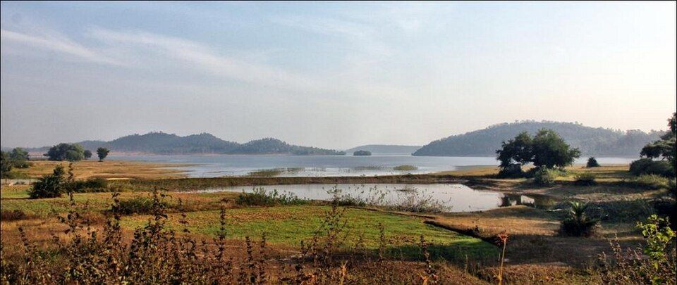 Valmiki Tiger Reserve — photo 2