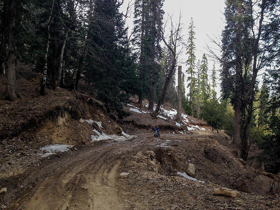 Dodra Kwar, offbeat Himachal Pradesh — landscape view