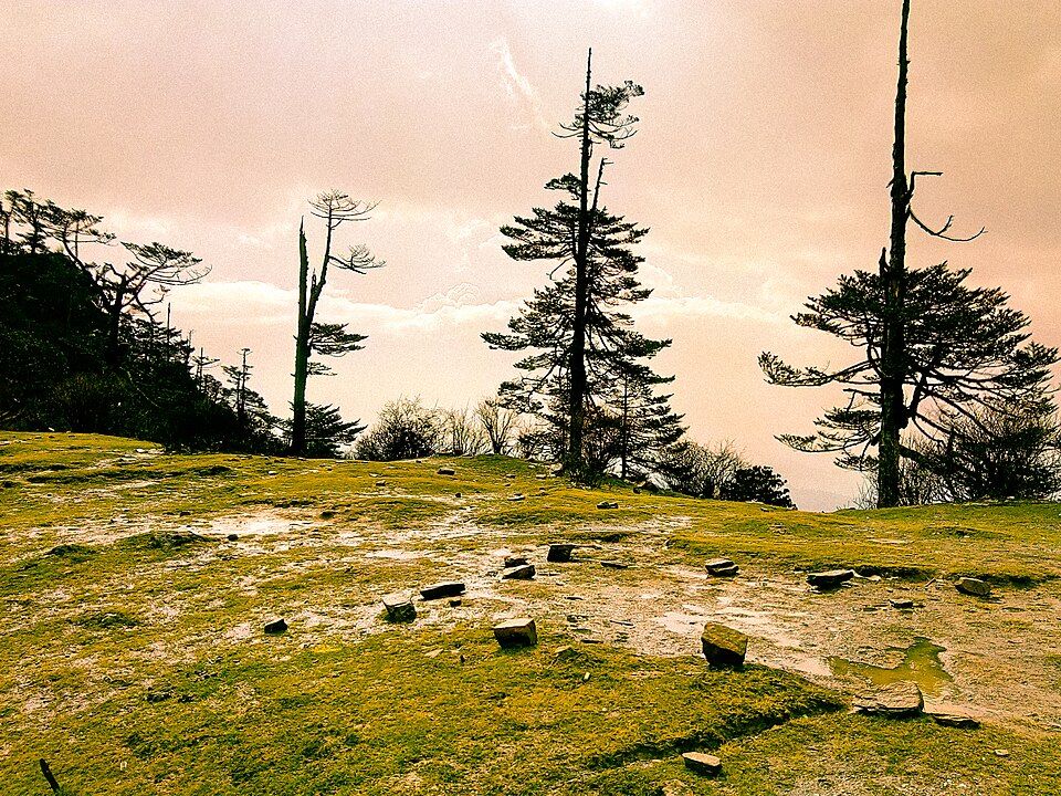 Barsey Rhododendron Sanctuary — photo 3