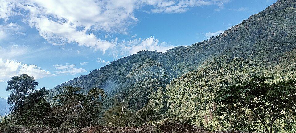 Pasighat — photo 3