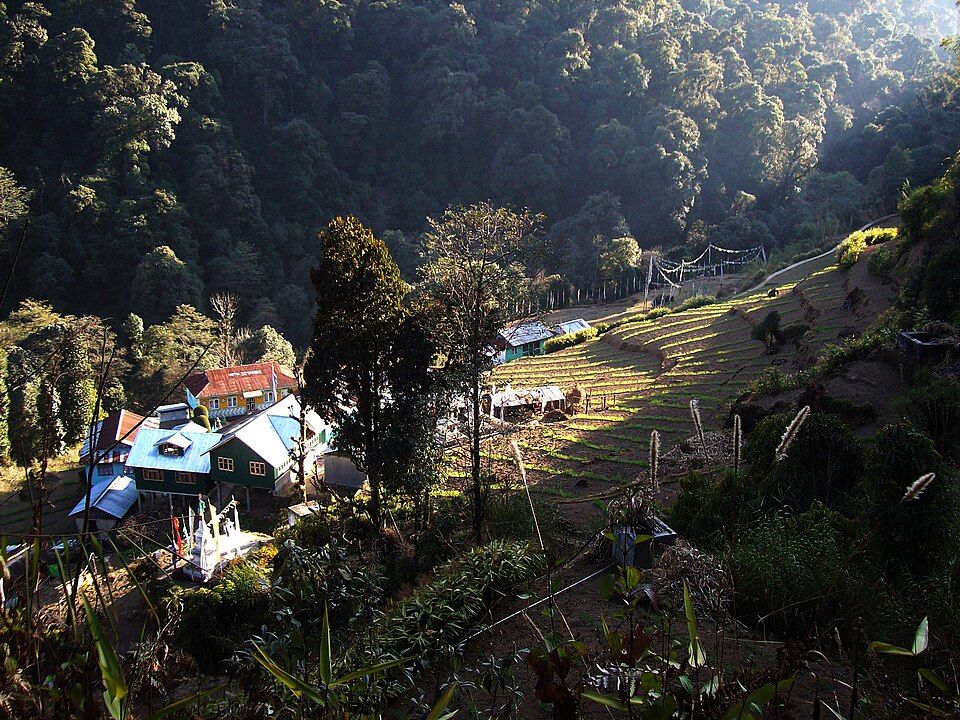 Srikhola — photo 3