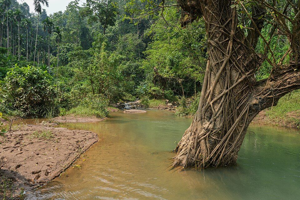 Siju, offbeat Meghalaya — landscape view
