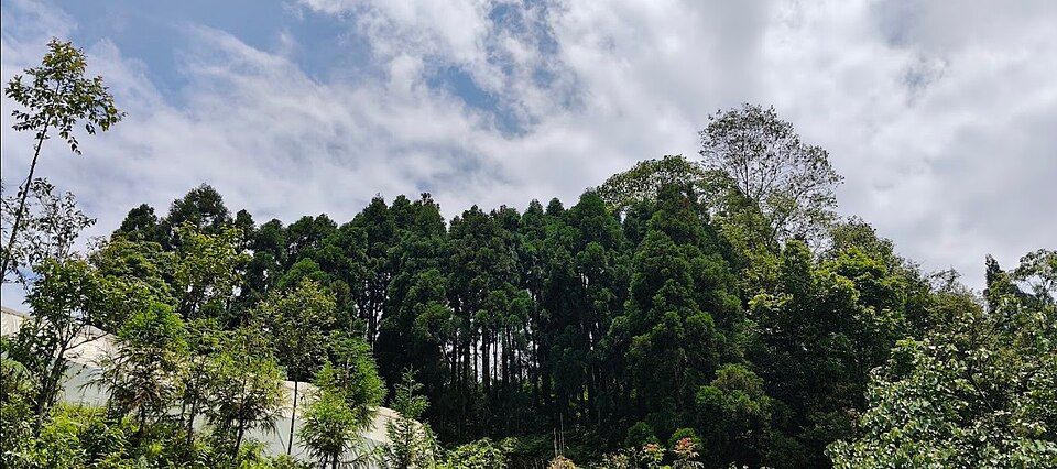 Sittong, offbeat West Bengal — landscape view