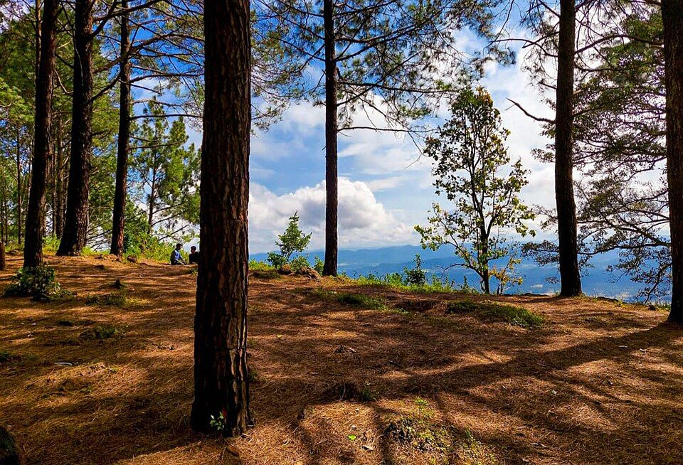Netarhat, offbeat Jharkhand — landscape view