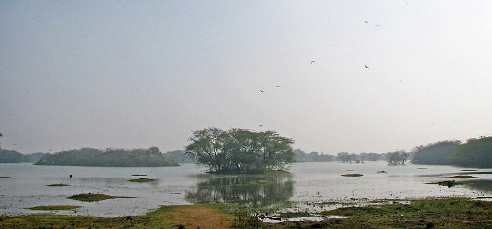 Sultanpur National Park — photo 2