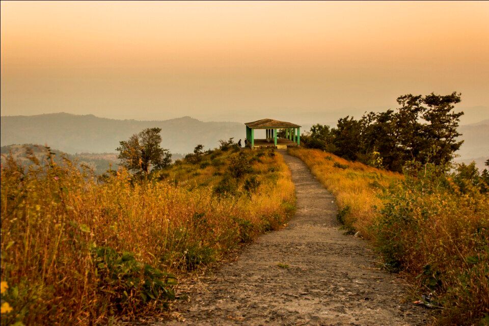 Wilson Hills, offbeat Gujarat — landscape view