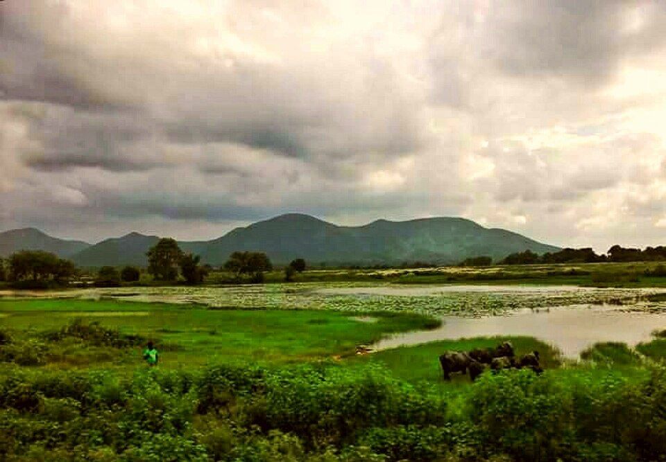 Dalma, offbeat Jharkhand — landscape view