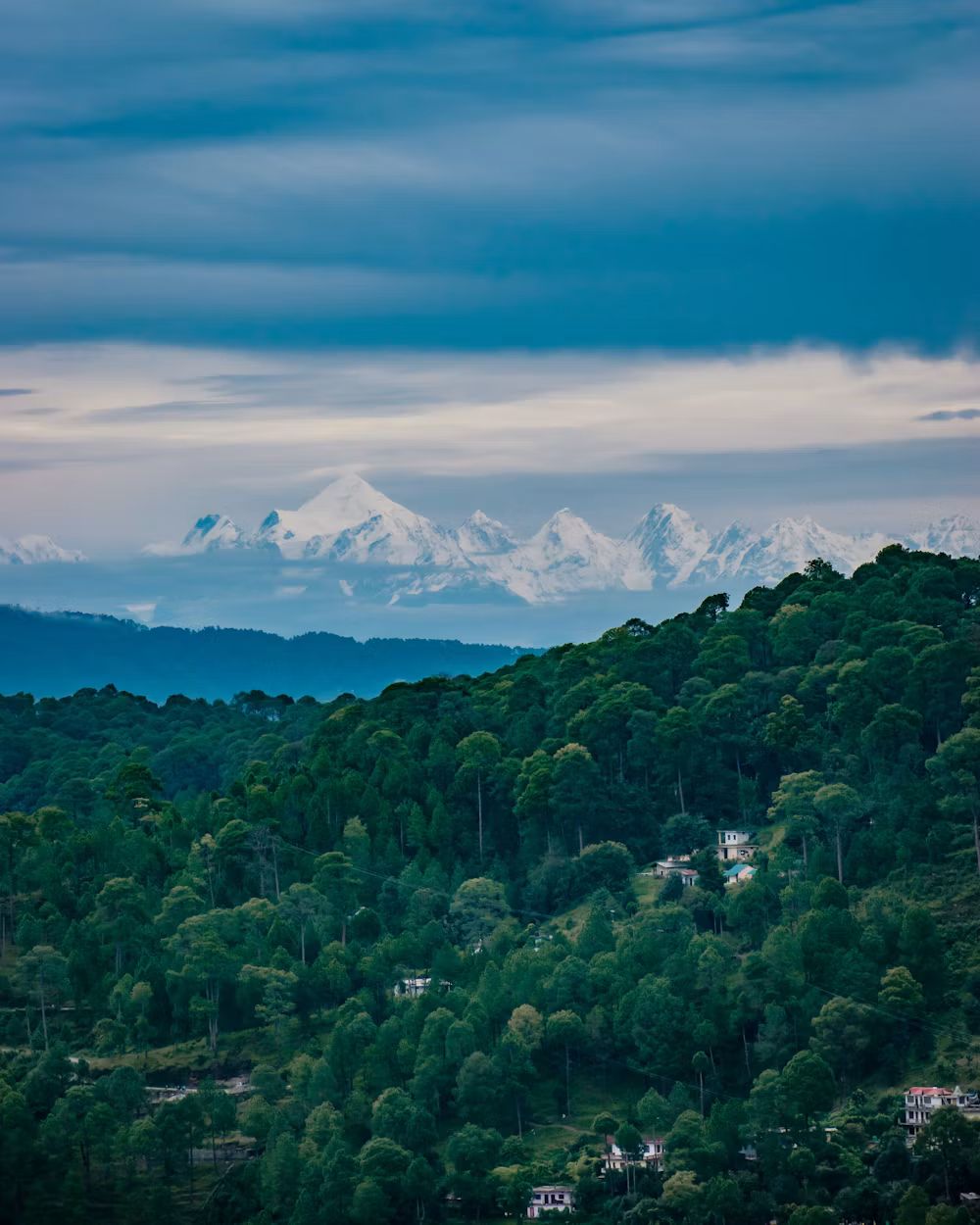Darma Valley — photo 3