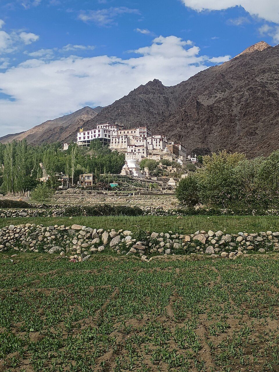 Likir — photo 2