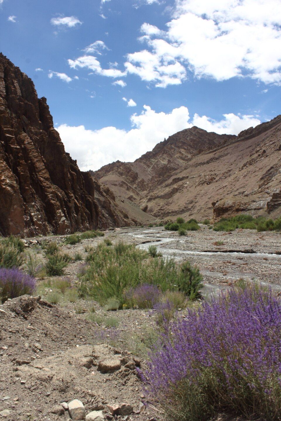 Rumbak, offbeat Ladakh — landscape view