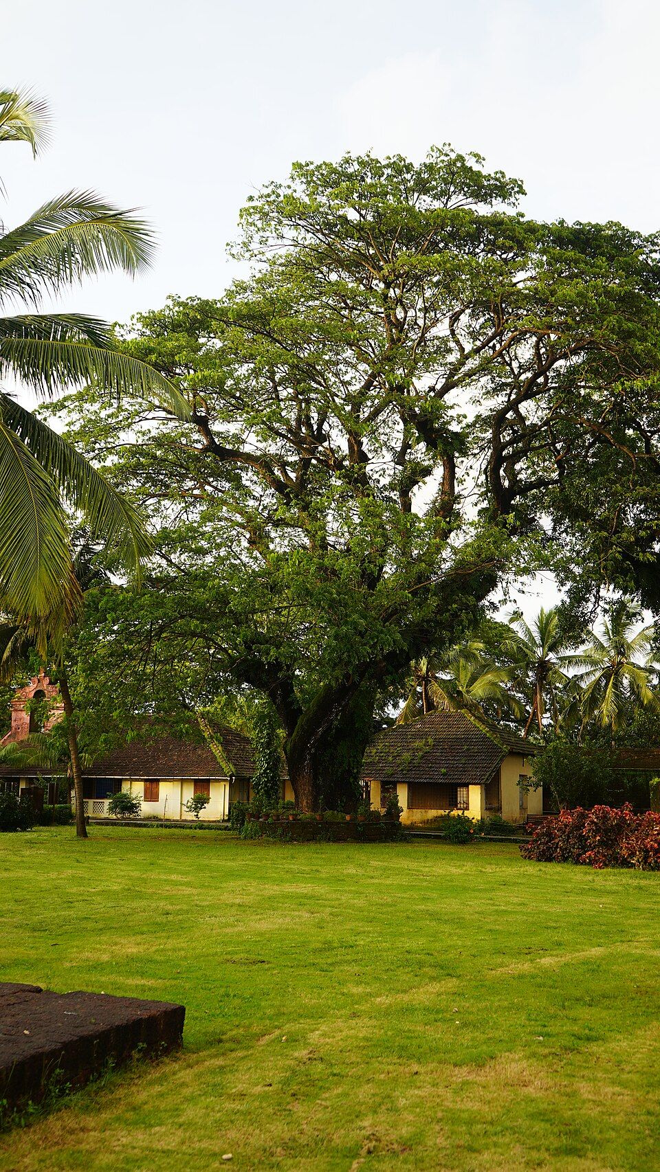 Thalassery — photo 2