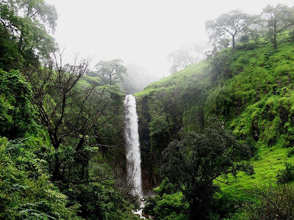 Koyna — photo 2