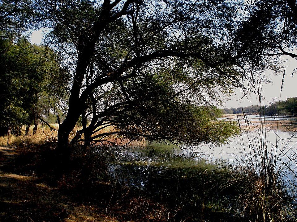 Sultanpur National Park — photo 3