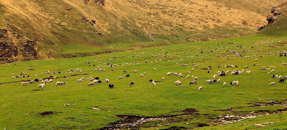 Pabbar Valley, offbeat Himachal Pradesh — landscape view