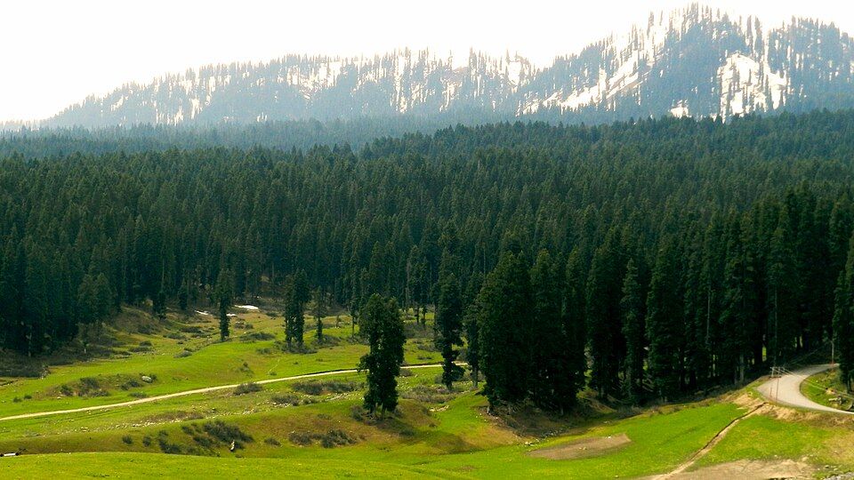 Doodhpathri — photo 2