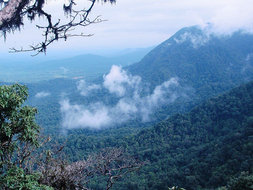 Agumbe — photo 3